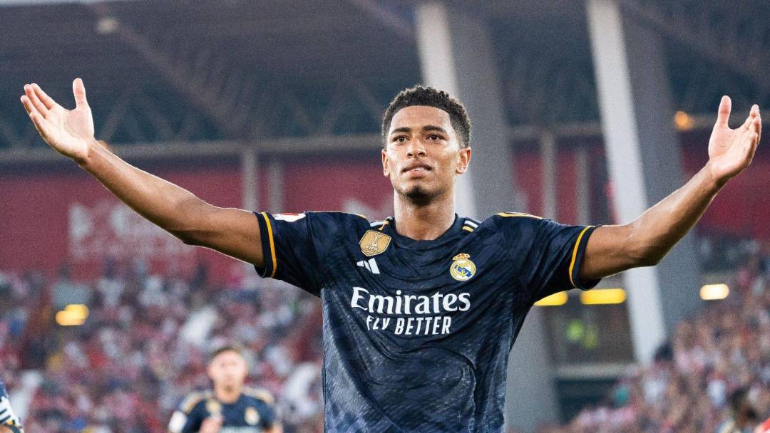 成为各个领 成为各个领