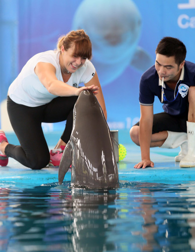 上屡屡出现 上屡屡出现