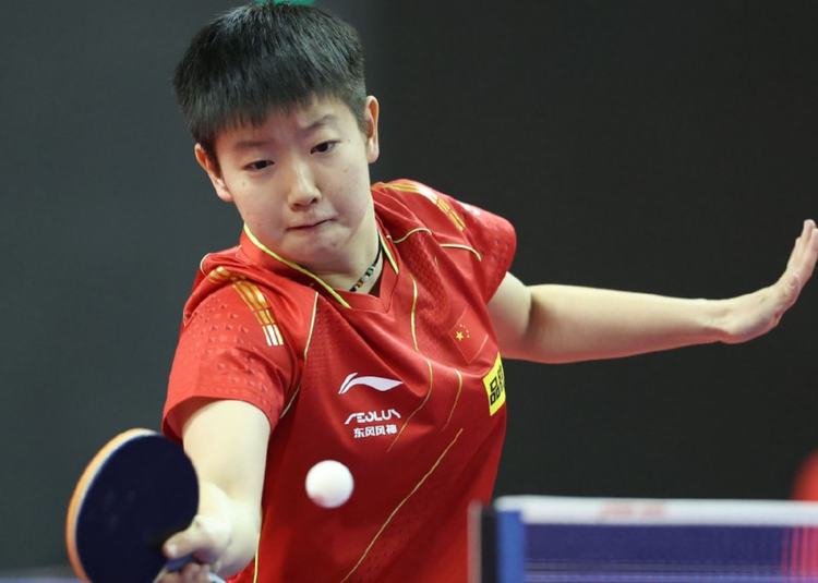 项目与Pr 项目与Pr